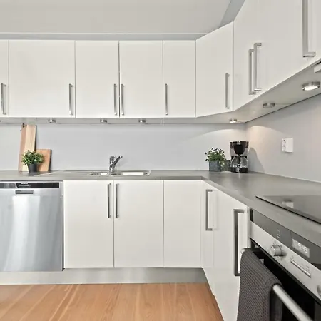 Bjorvika Apartments, Solsiden Area, Center *